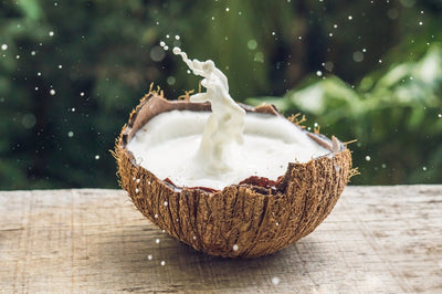 Cocanut oil