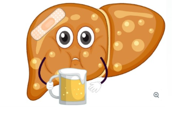Helps to recover from liver damage due to bad habits