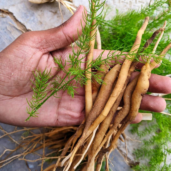 AVIS Ayurthi Slim Care Tonic image 2