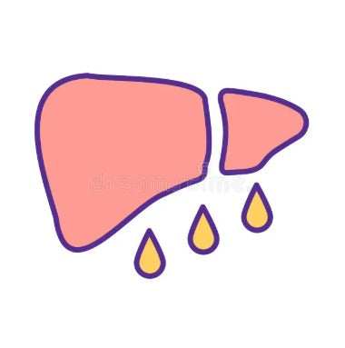 Helps to recover from fatty Liver