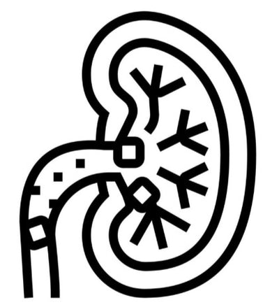 AVIS Ayurthi Kidney Care Tonic & Tablet benefit 1