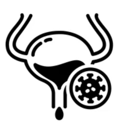 AVIS Ayurthi Kidney Care Tonic & Tablet benefit 3