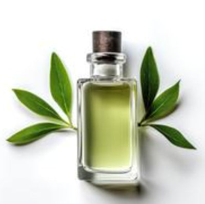 Eucalyptus  oil