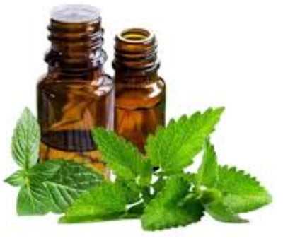 Menthol oil