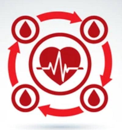 Improves Blood Circulation in the affected area