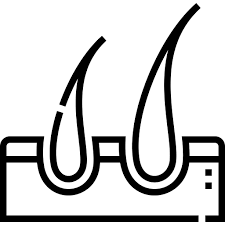 Bringadi Hair Combo benefit 3