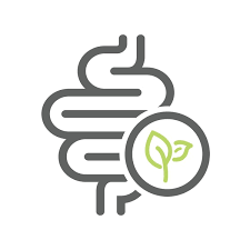 AVIS Ayurthi Slim Care Tonic benefit 3