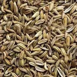 AVIS Yuvathi image 2